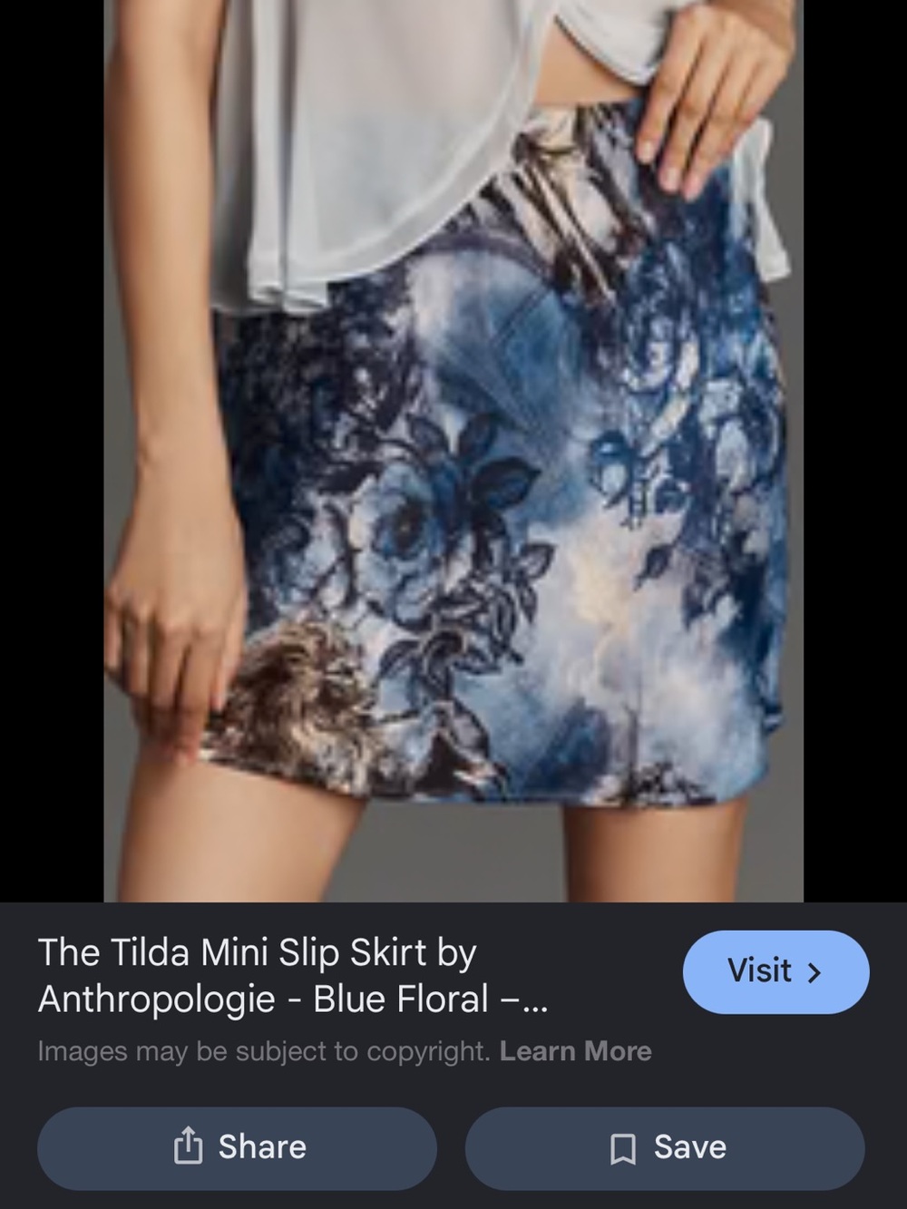 Anthropologie Blue Scenic Print Mini Skirt